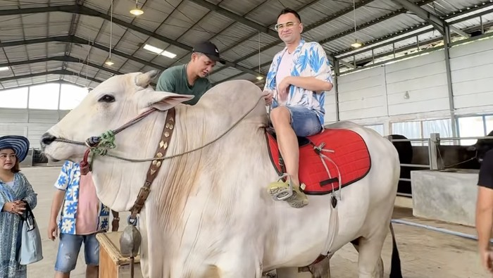 Raffi Ahmad Beli 4 Sapi Jumbo di Tempat Irfan Hakim Buat Kurban