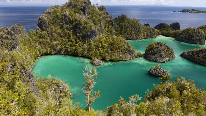 Tambang Nikel di Raja Ampat Ramai Diperbincangkan, Ini Respons Dirut Antam
